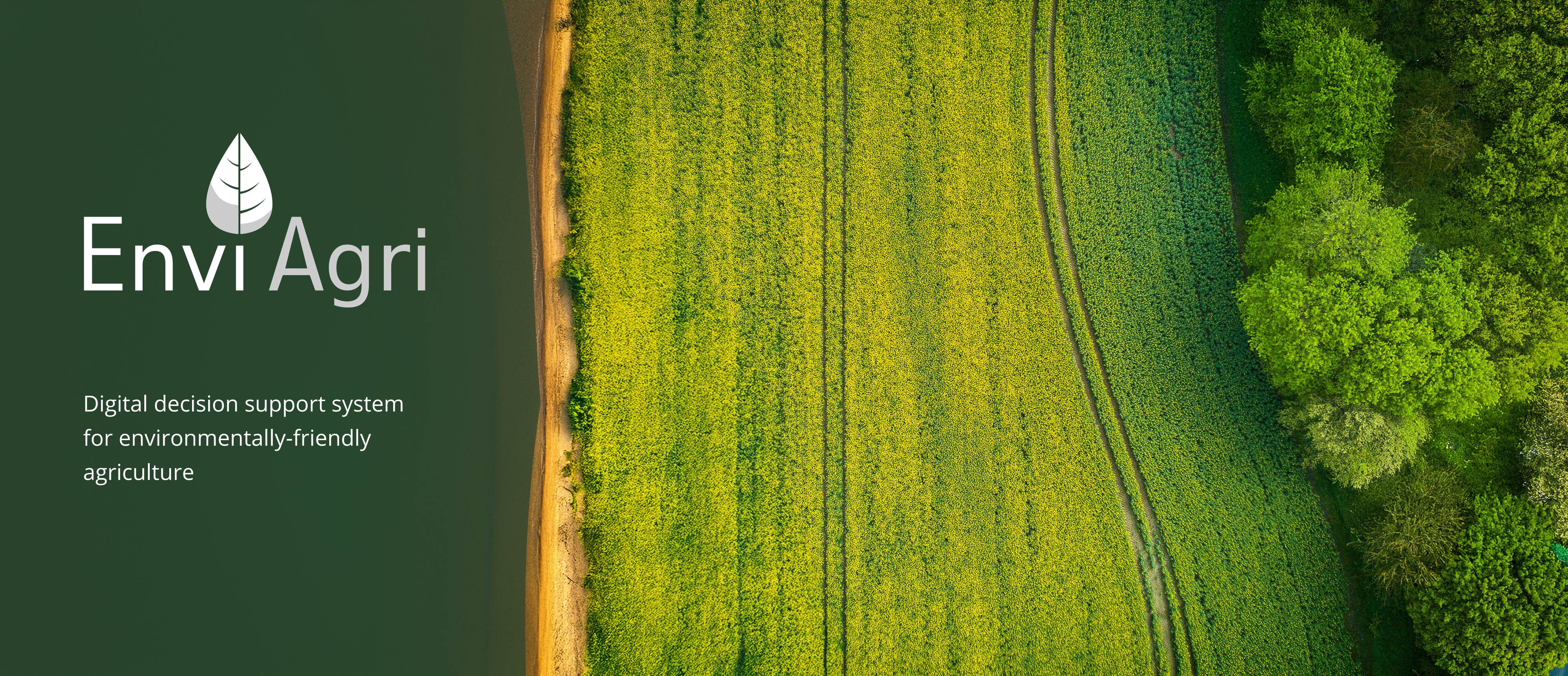 Dron view